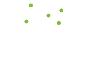 morinomi